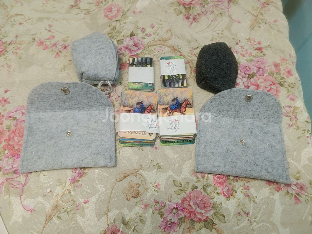 레나 레노먼드 타로 카드입니다.--7