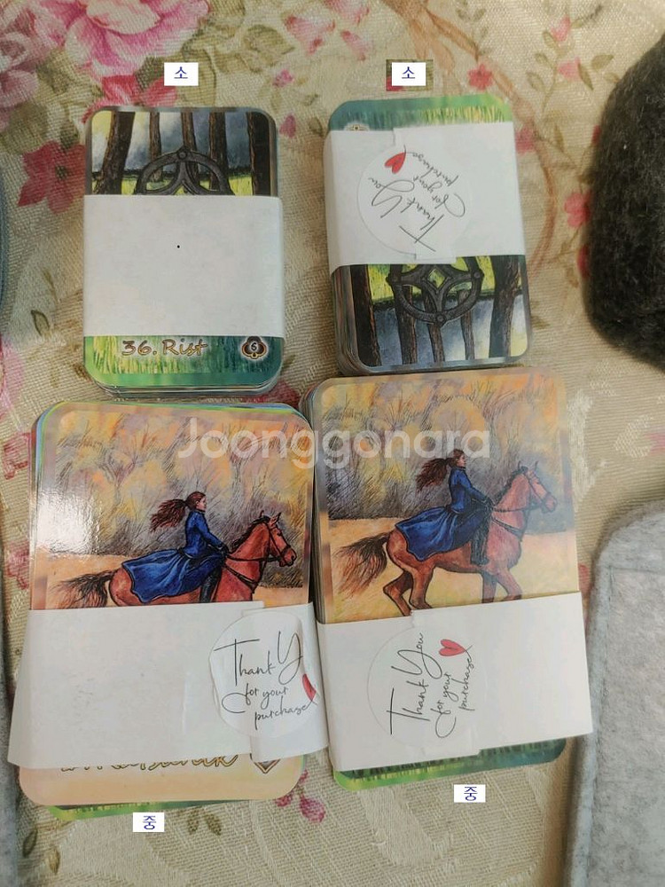 레나 레노먼드 타로 카드입니다.--5