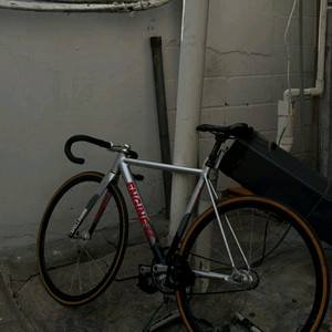 엔진11 디스오더리 픽시 볼텍스 크릿디 판매만