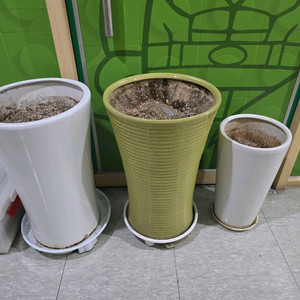 화분 3개