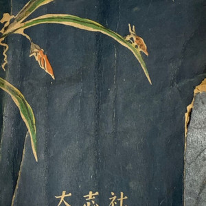 신석정의 슬픈목가