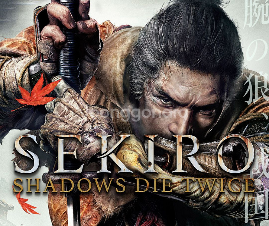 스팀 세키로&레데리2--0