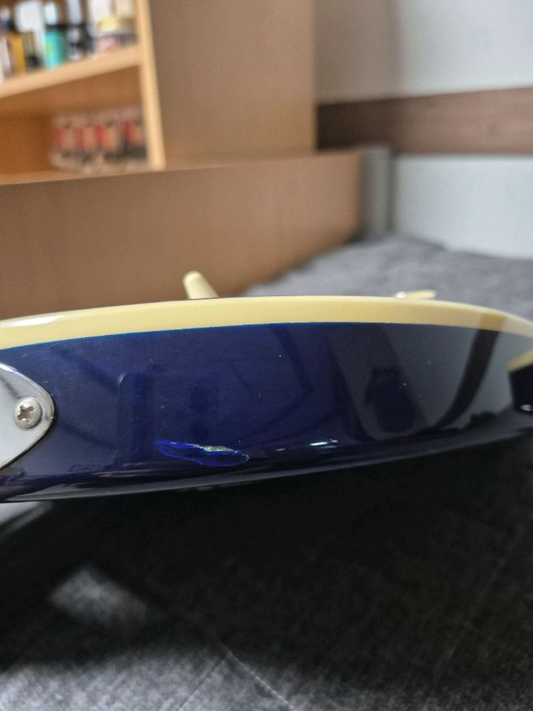 PRS SE Standard 일렉 기타 가격제시 받아요 이미지