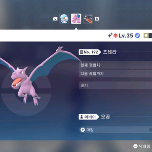 우두머리 이로치 프테라