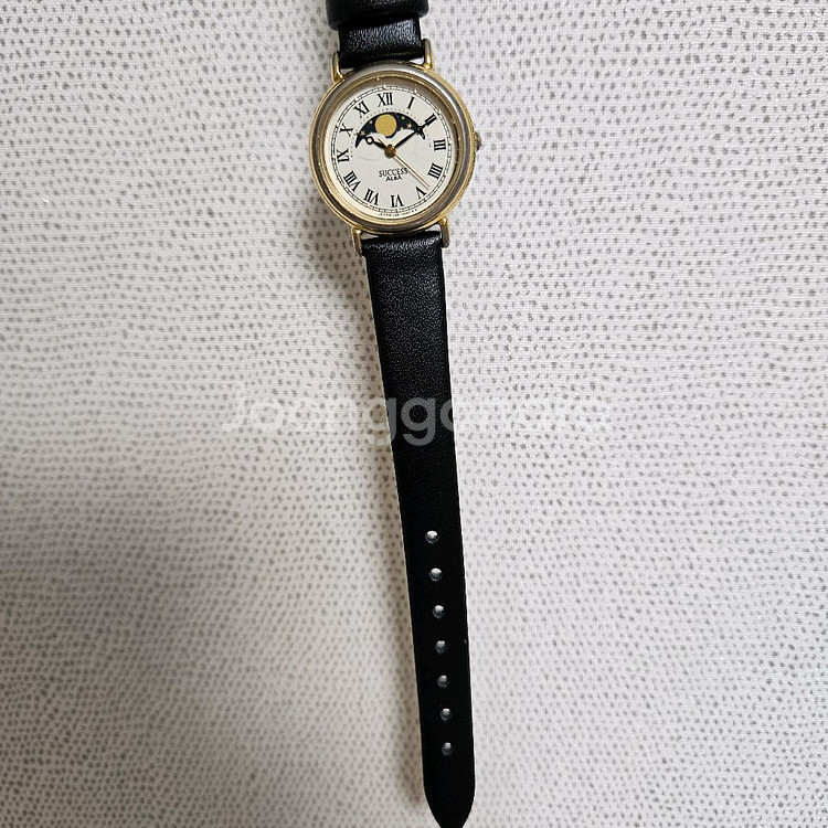 Seiko Alba Moonphase Quartz 시계--8