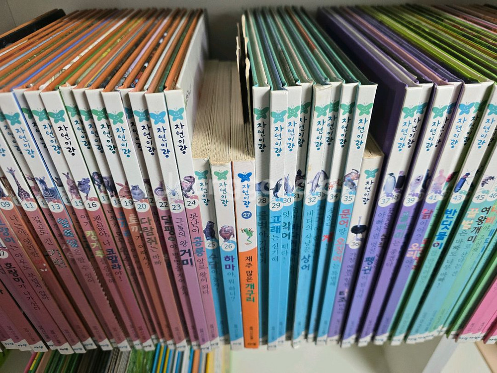 아람 자연이랑 자연관찰--3