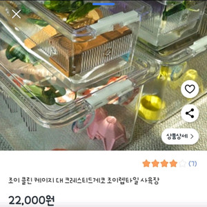 조이클린 도마뱀 크레 파충류 사육장 대