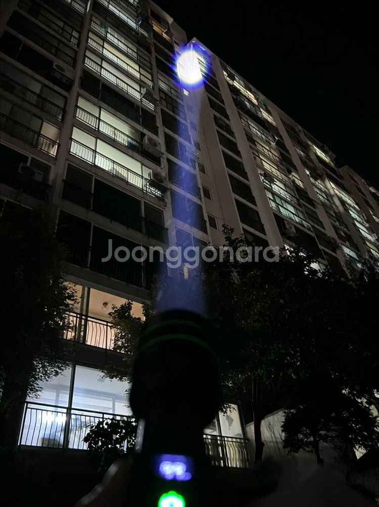 낚시 해루질 등산 캠핑용 전문가용 랜턴 손전등 라이트(--6