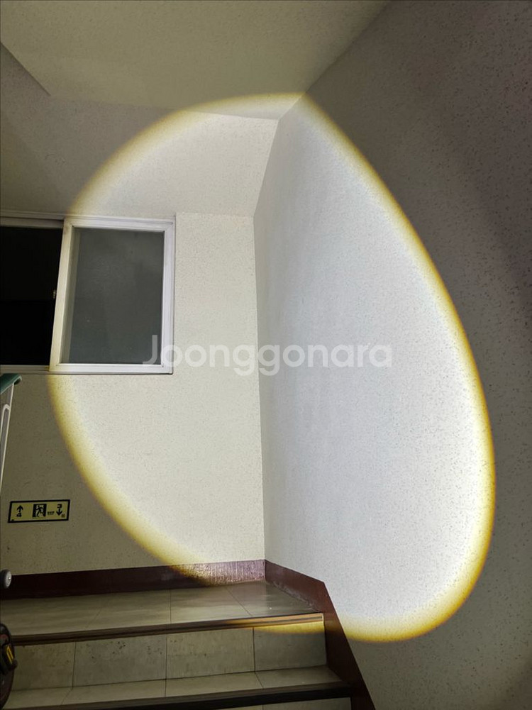 낚시 해루질 등산 캠핑용 전문가용 랜턴 손전등 라이트(--7