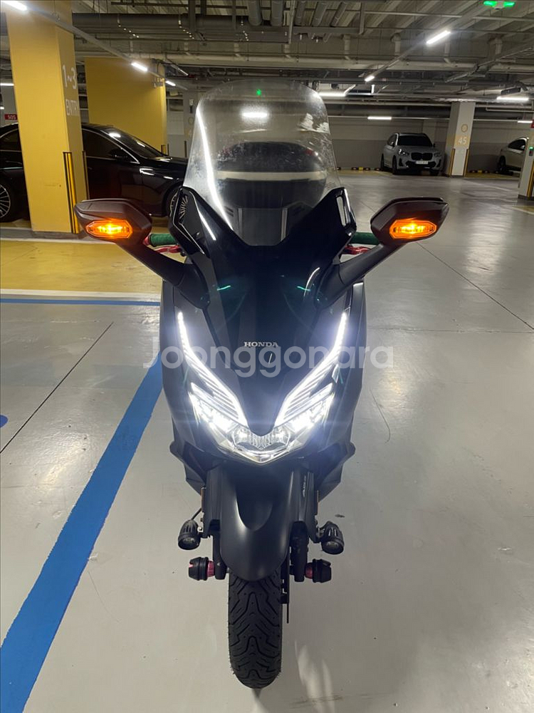 혼다 포르쟈300--0