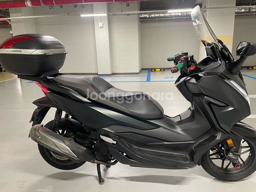 혼다 포르쟈300--4