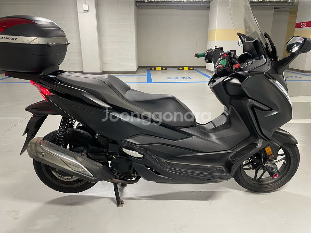 혼다 포르쟈300--8