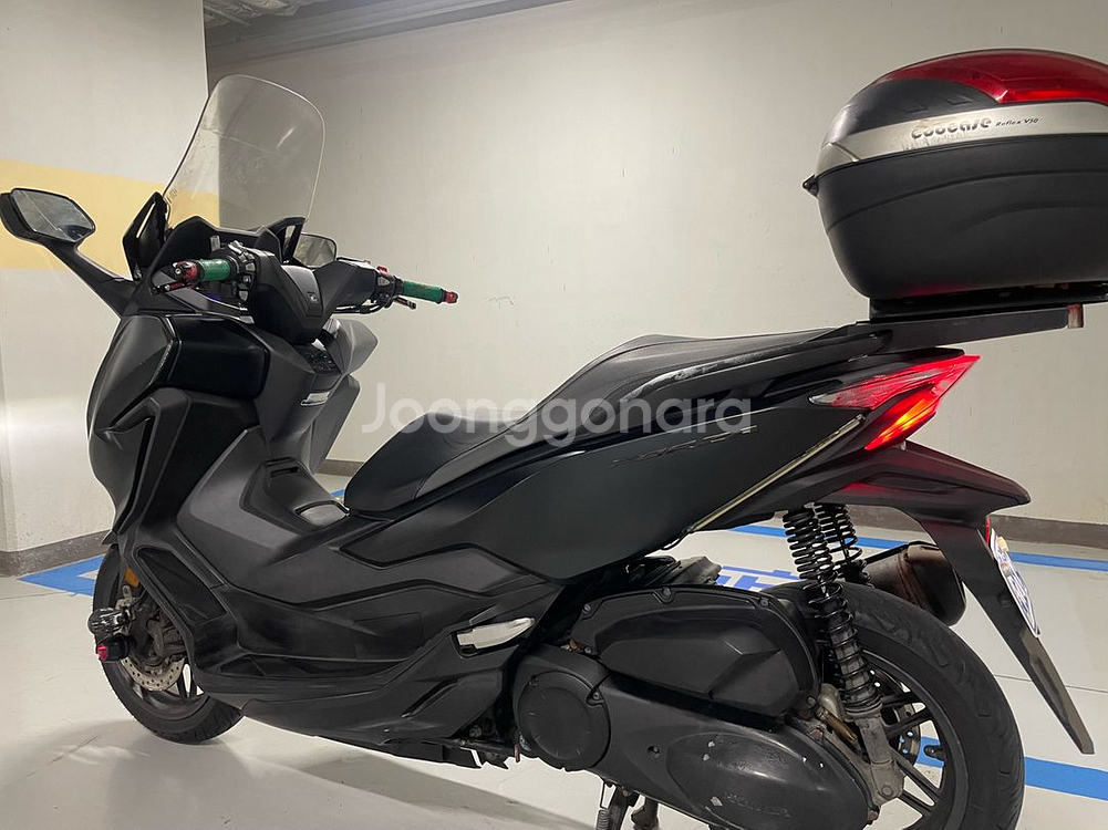 혼다 포르쟈300--9