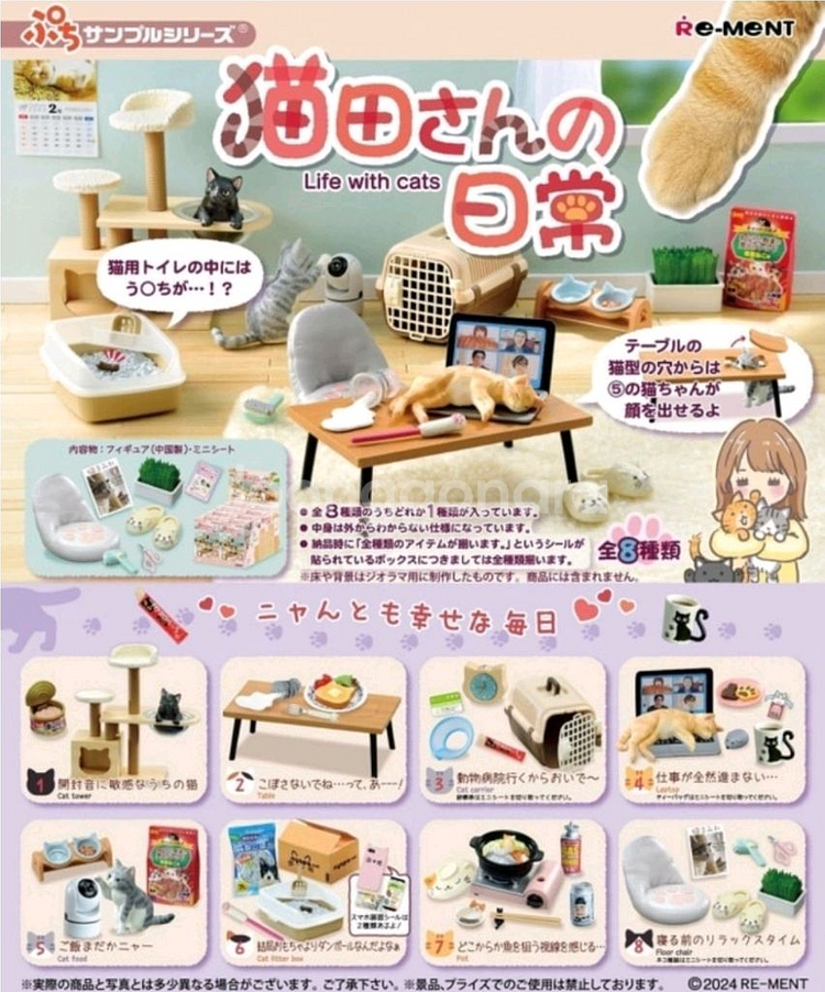 리멘트 식완 고양이들과의 일상 8번--1