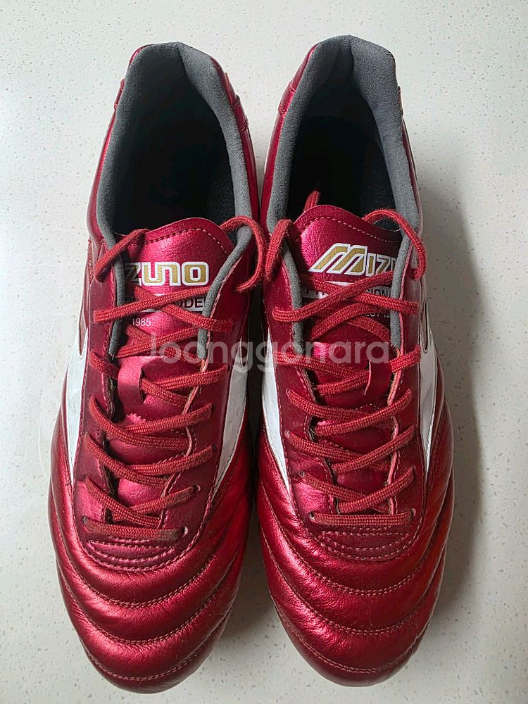 270 모렐리아2 엘리트AG--0