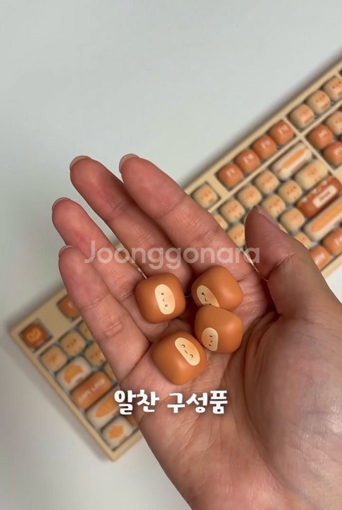 Akko MG108B Bun Wonderland 키보드--5