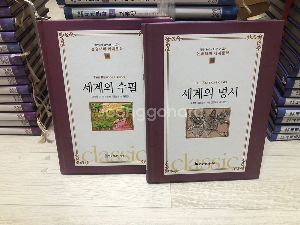 명문대에 들어갈 수 있는 논술대비 세계문학(6만원--2