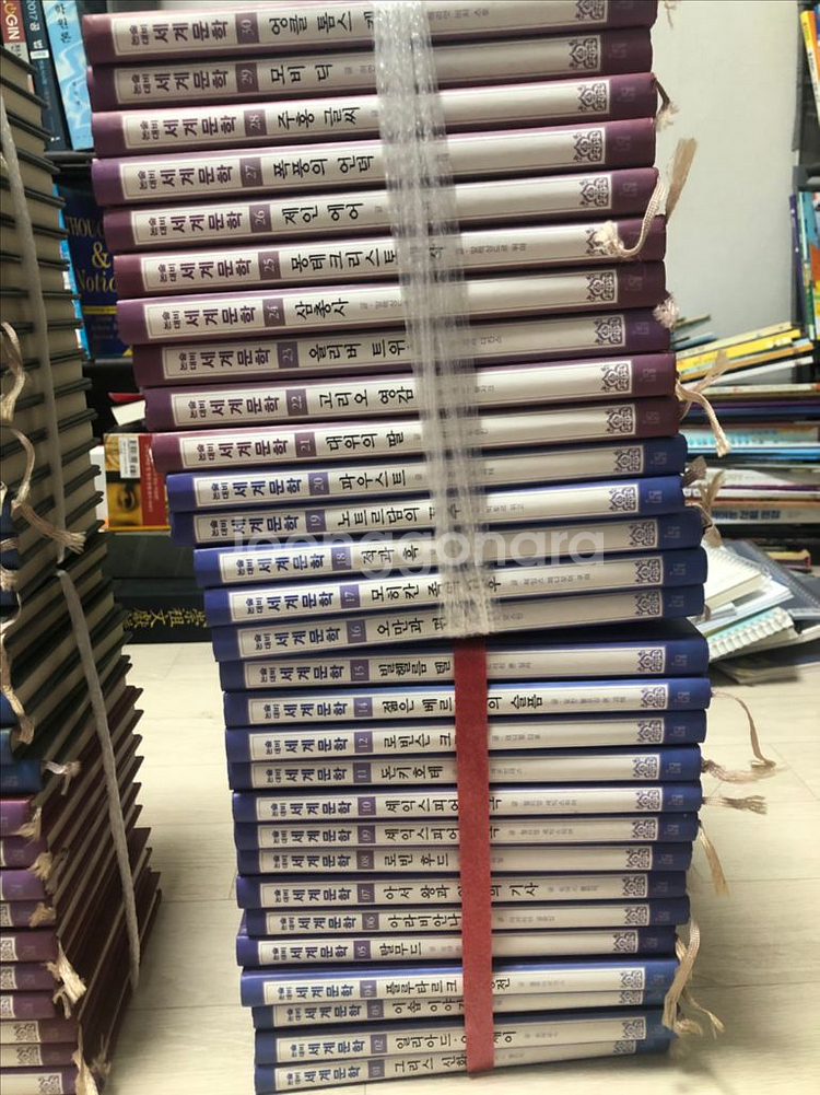 명문대에 들어갈 수 있는 논술대비 세계문학(6만원--1