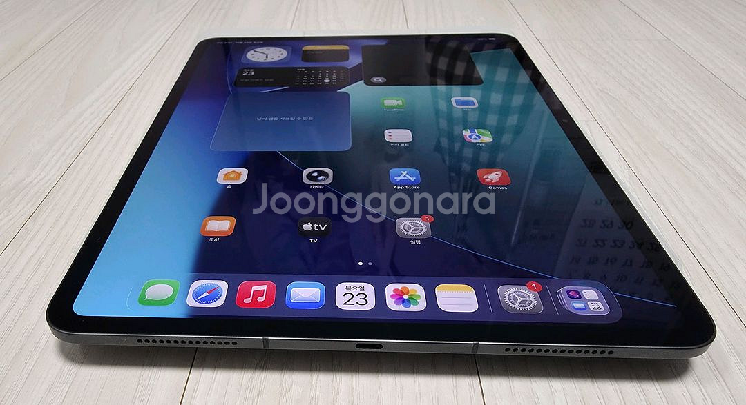 아이패드 프로 M4 13인치 256 셀룰러 + 애케플--4