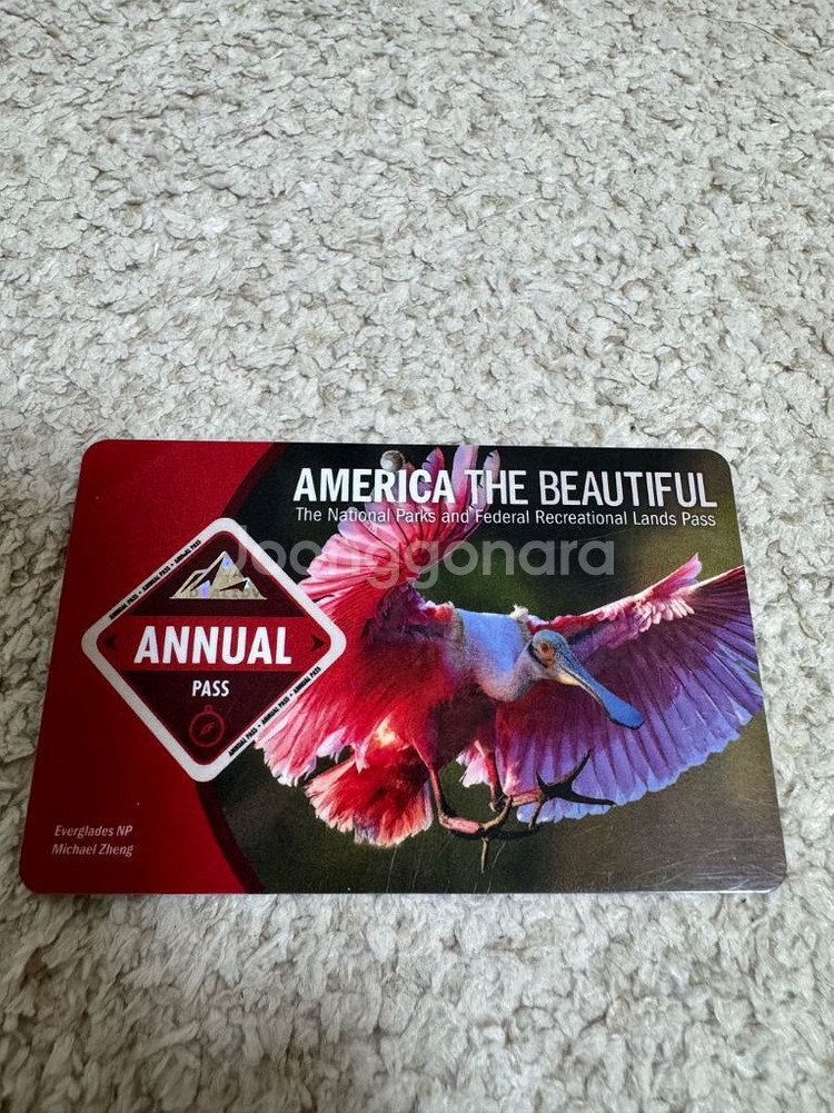 미국 국립공원 연간 패스 애뉴얼패스 2026년 9월--0