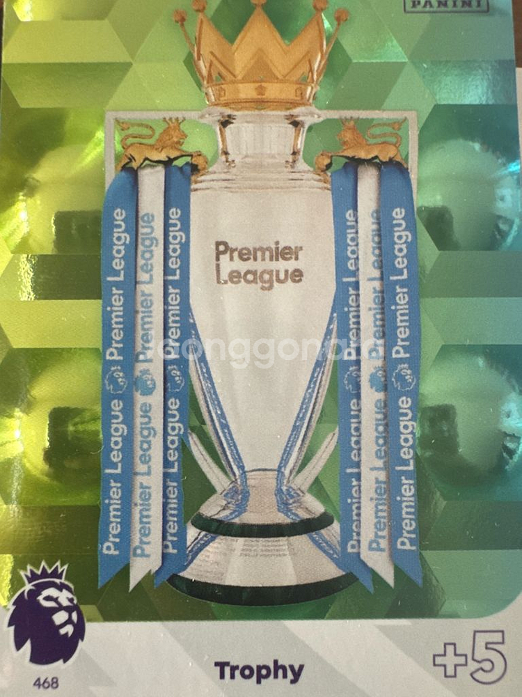 epl 축구카드 파니니(골든볼러 포함)--2