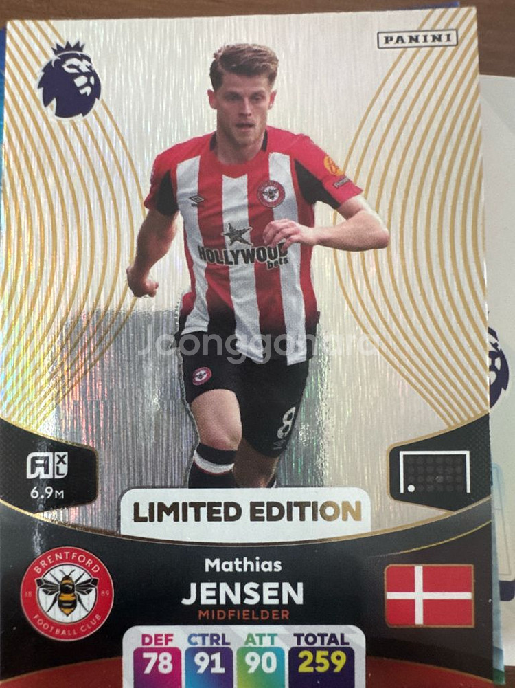 epl 축구카드 파니니(골든볼러 포함)--1