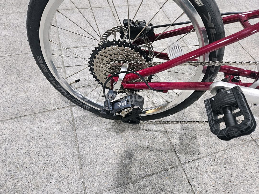 비올리 메디오폰도 미니벨로 신품급 (25.10.10 구매)--3