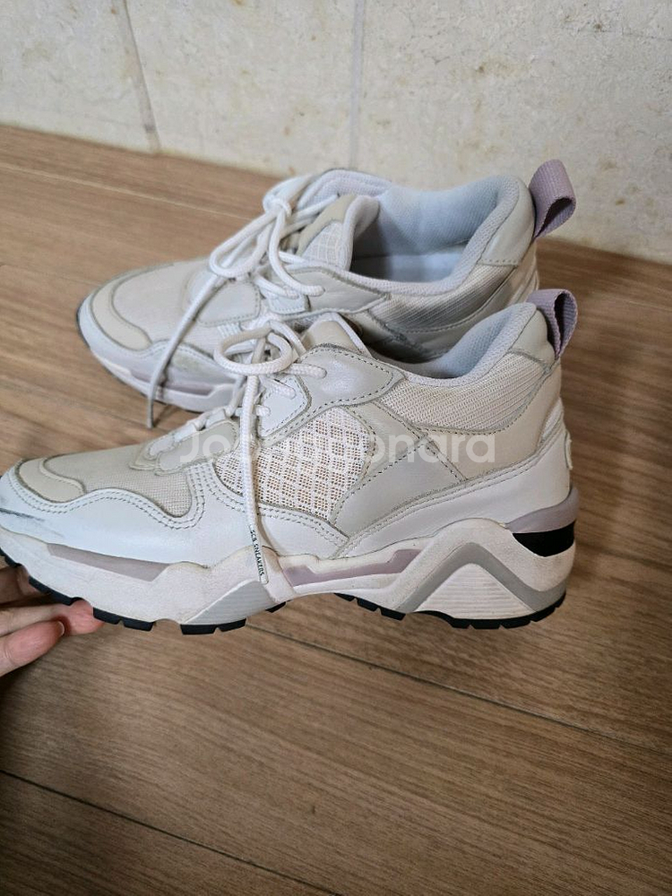 슈콤마보니 스니커즈 키높이운동화 235(송혜교신발)--3