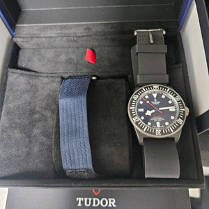 튜더 펠라고스 fxd 알링기