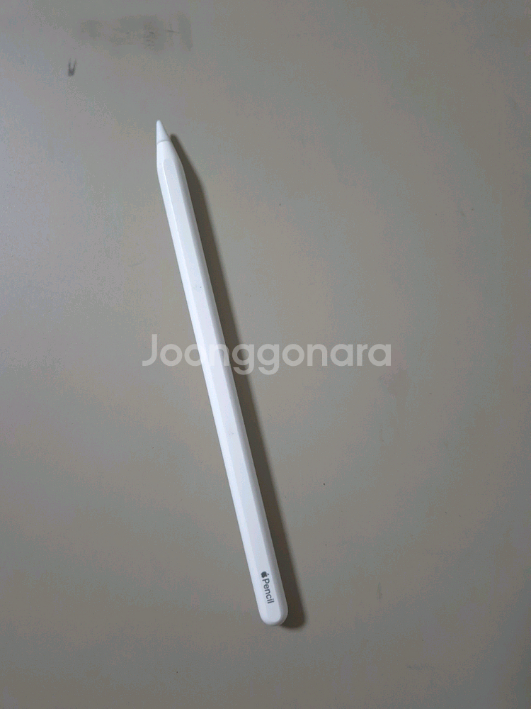 아이패드 프로 M1 11인치 2TB + 애플 펜슬--4