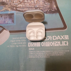 버즈프로 본체 (배송비포함)
