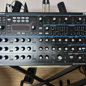 novation peak 노베이션 피크