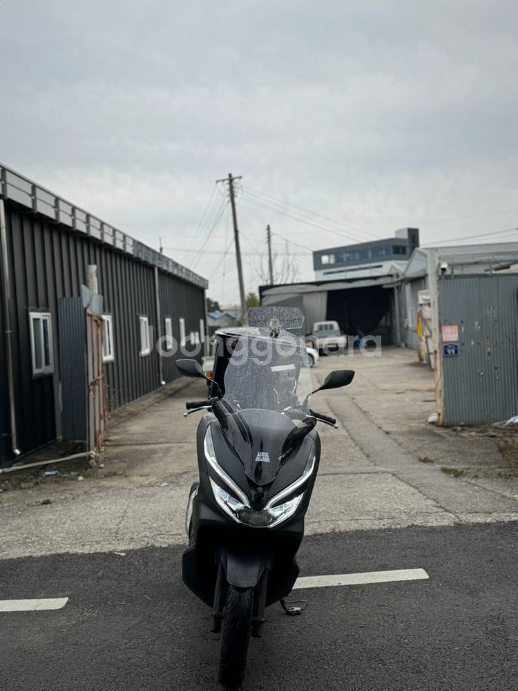 혼다 pcx125--1