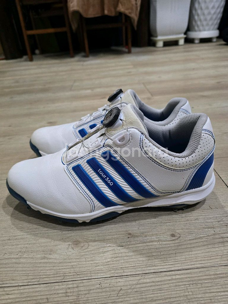 아디다스 골프 투어360 보아골프화 265mm--0