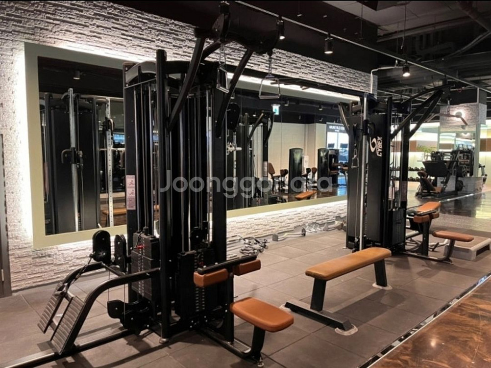 경기 오산 머슬캐슬 회원권90일+PT29회 헬스 양도--2