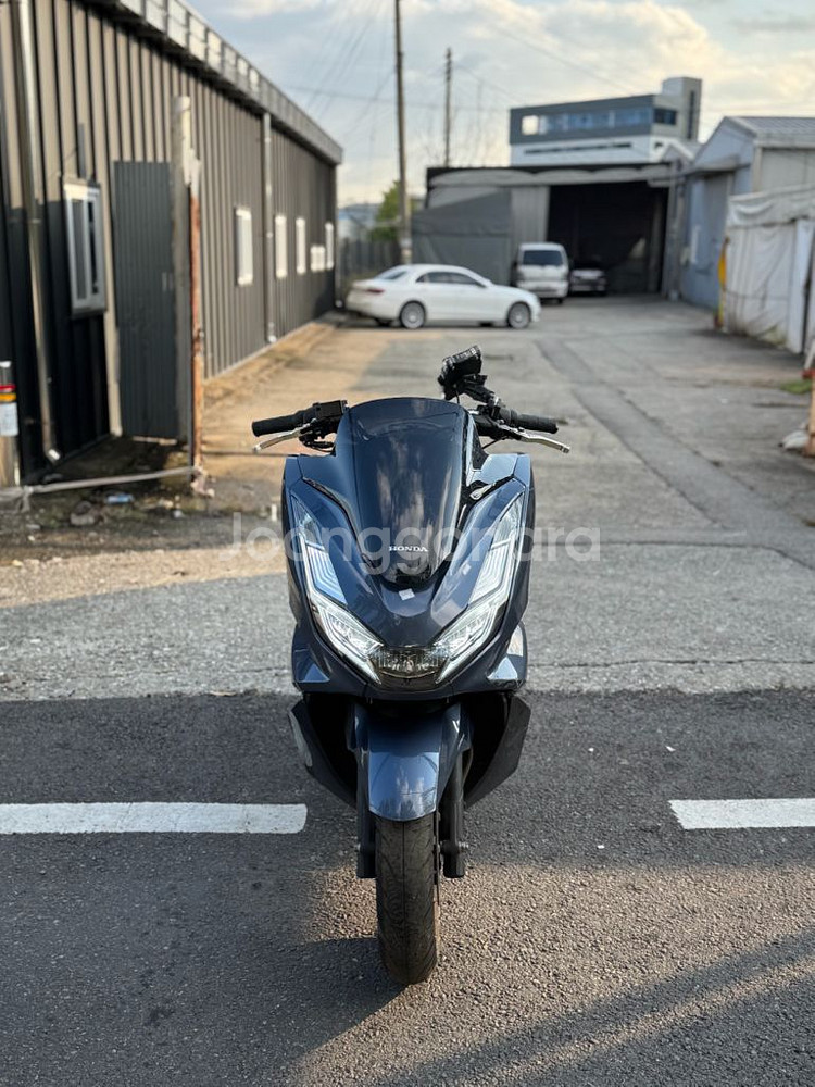 혼다 pcx125--1