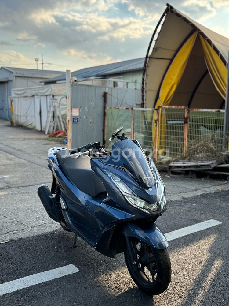혼다 pcx125--2