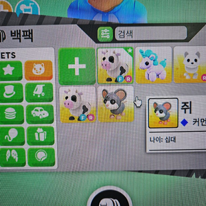 입양하세요 펫