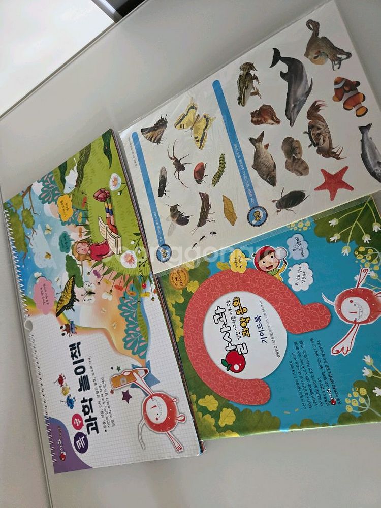 알찬사고력을 키워주는 과학 알사과 과학동화 전권--1