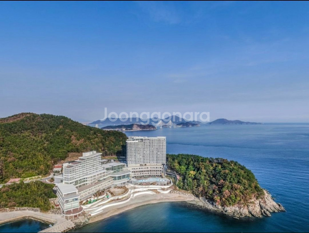 거제 벨버디어 다음주 금토일 주말 10/31-11/2--1