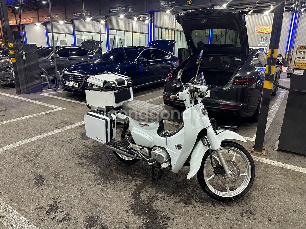 23슈퍼커브 화이트--1