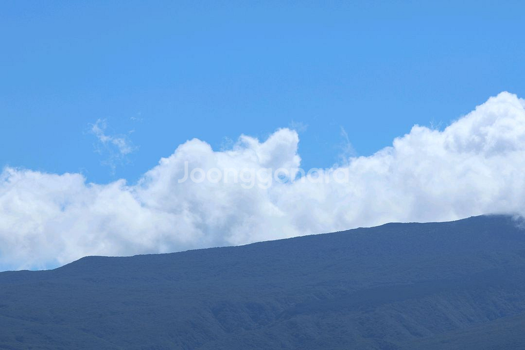 캐논 EF 70-200 F4L IS USM 렌즈 팝니다--5