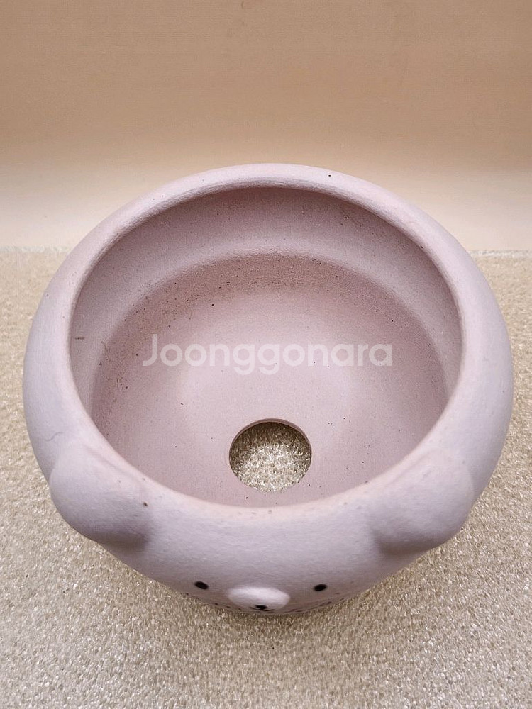 어뮤즈 핑크 곰돌이 토분--1