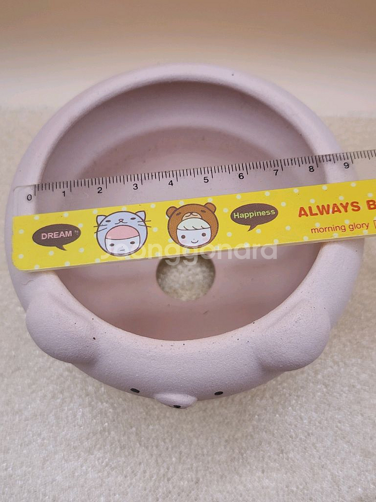 어뮤즈 핑크 곰돌이 토분--2