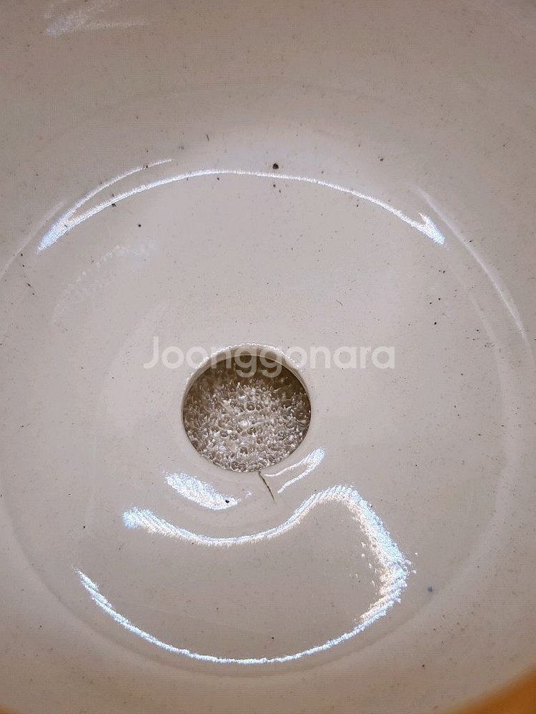 어뮤즈 붕어빵 토분--2