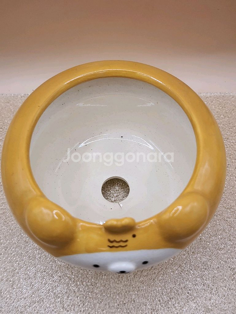 어뮤즈 붕어빵 토분--1