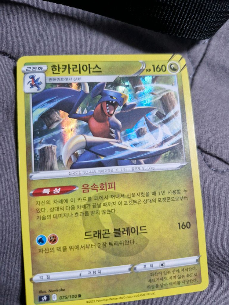 포켓몬 카드 아르세우스 V,이벨타르,한카리아스,크로뱃 이미지