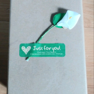 수제 나무안경테 선글라스 미사용