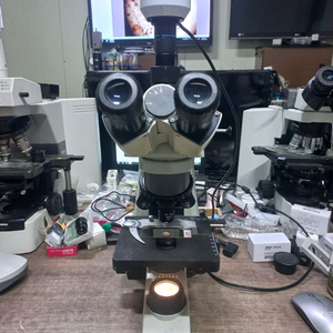 MOTIC BA200 3안현미경 싸게판매합니다 이미지