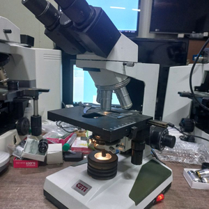 벨기에 CETI 쌍안생물현미경 싸게판매합니다 이미지